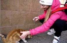 Капитан БК "Ростов-Дон-ЮФУ" Милана Сумец снялась в ролике в защиту бездомных животных